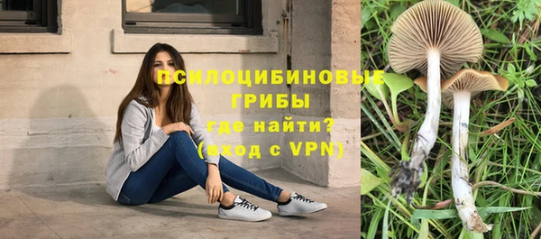 mdpv Абинск